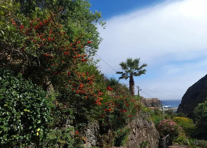 Paraiso Resiliente