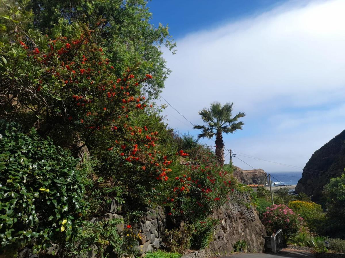 Paraiso Resiliente *