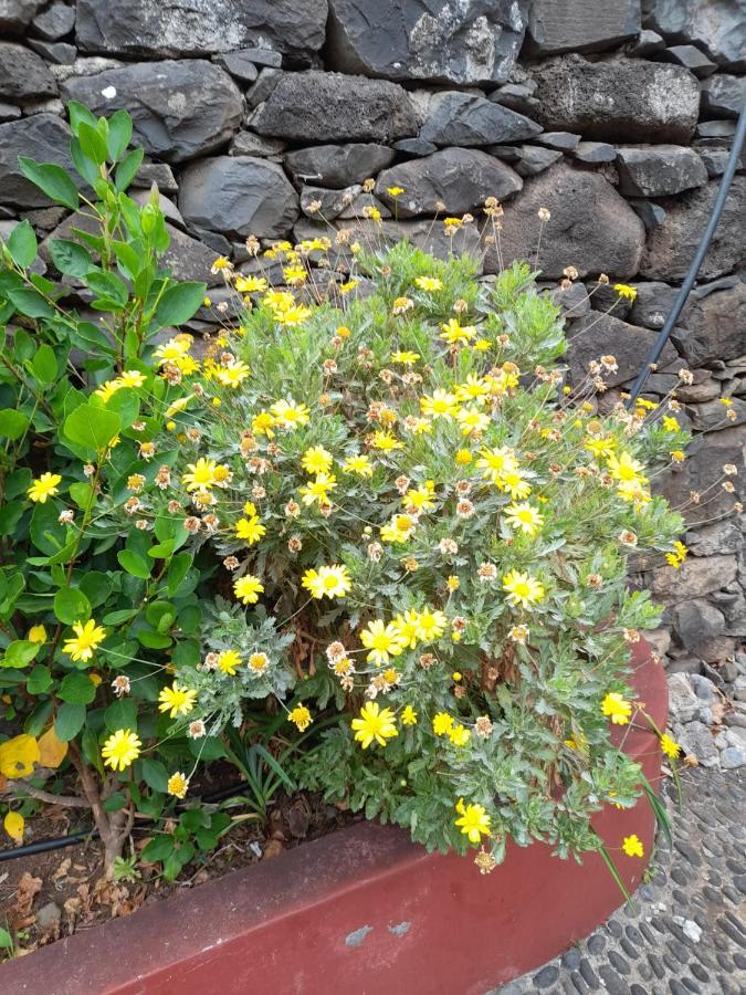 Paraiso Resiliente Santana (Madeira)