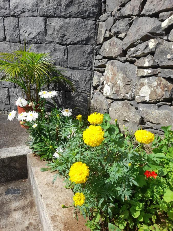 Farm stay Paraiso Resiliente Santana (Madeira)