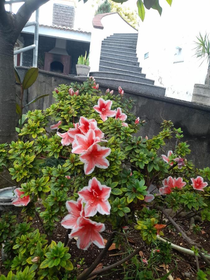 Farm stay Paraiso Resiliente Santana (Madeira)