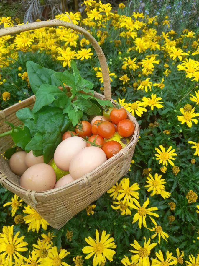 Paraiso Resiliente Farm stay